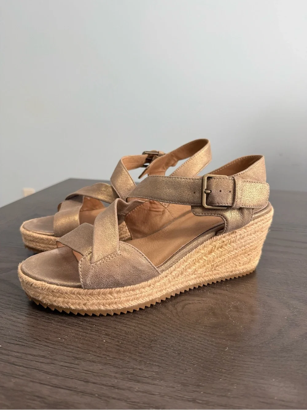Eileen Fisher Women’s Beckon Metallic Suede Espadrille Wedge‎ Size 9